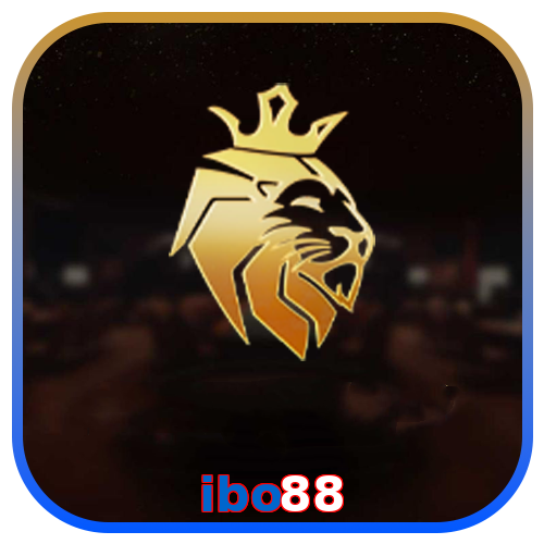 ibo88